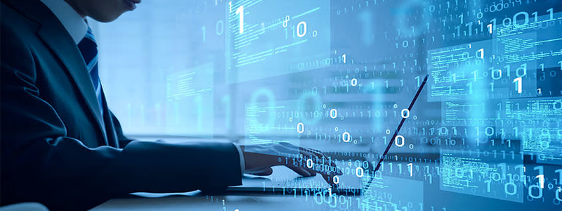 Software Development & Customisation
